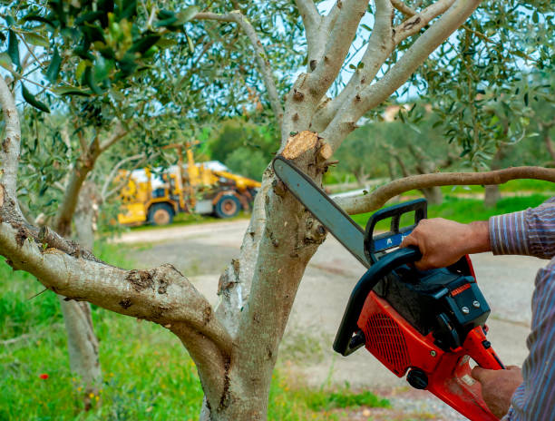  Hebron Estates, KY Tree Service Pros